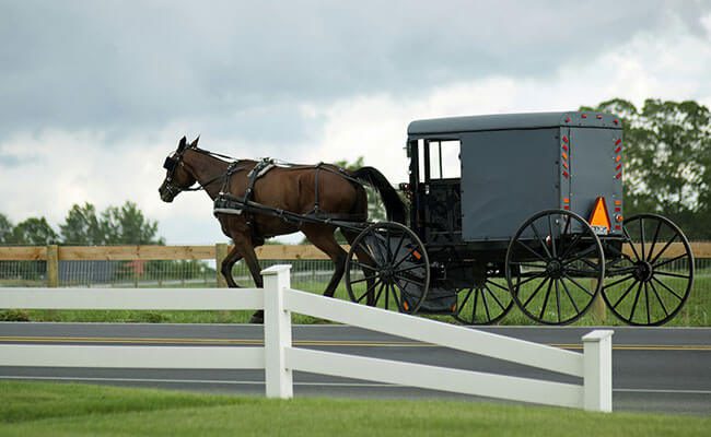 A-1 Tours Private Tours Spend a Day in Amish Country - Lancaster, PA