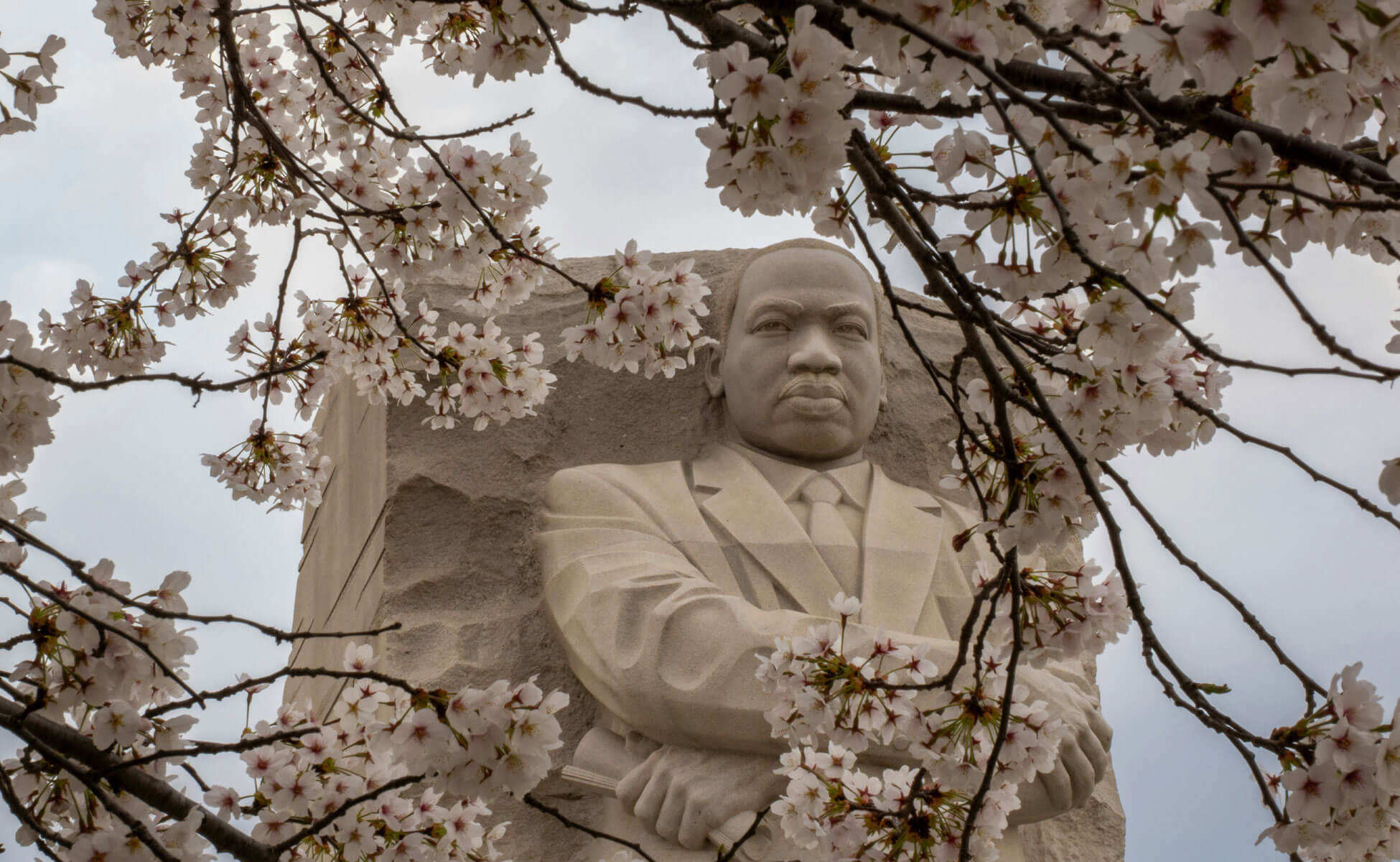 A-1 Tours Retails Tours Black History Tours Washington DC