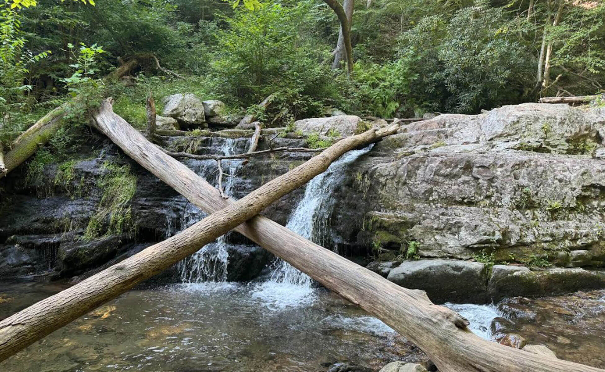 A1 Tours Delaware Water Gap Mount Tammany Trail NJ Waterfall