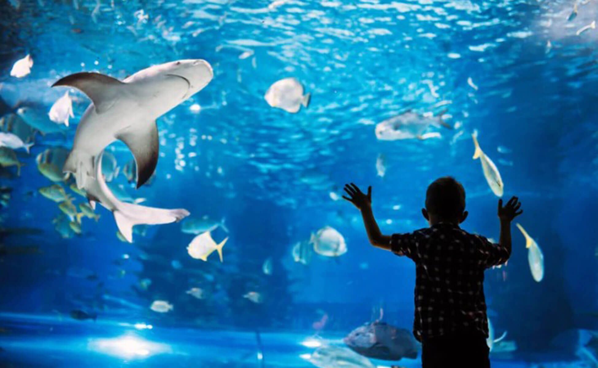 A1 Tours Maryland Zoo National Aquarium Baltimore Maryland Aquarium