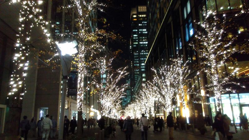 A-1 Tours Private Tours NYC Holiday Experience