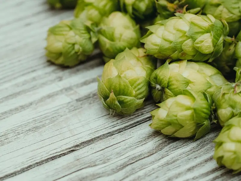 Garner Historic District & Round Table Brewery Hops
