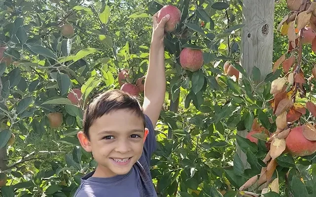 A1 Tours A Different Take on Gettysburg PA Kids Apple Picking
