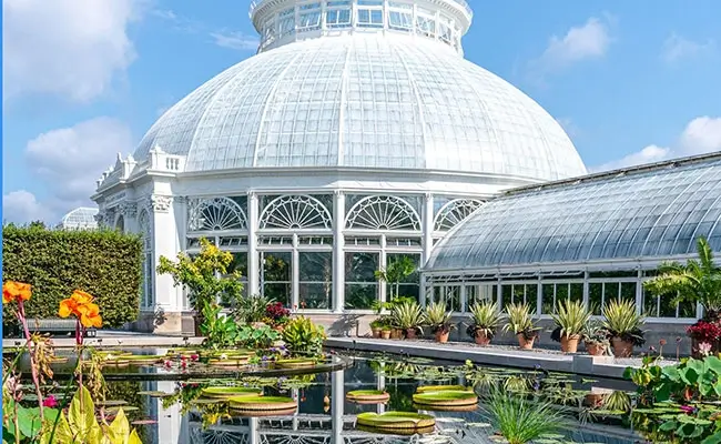 A1 Tours Flower Power New York Botanical Garden Conservatory Courtyard