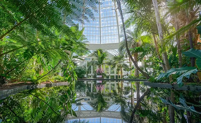 A1 Tours Flower Power New York Botanical Garden Palms Gallery