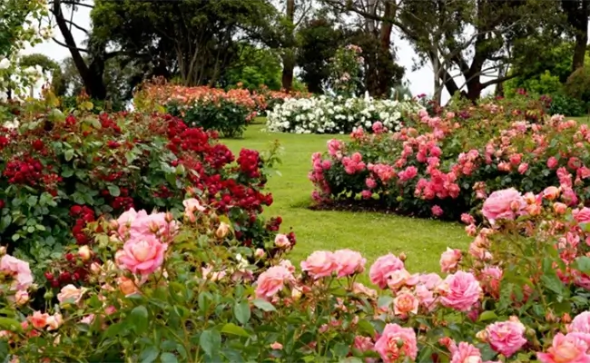 Lyndhurst Mansion and Untermyer Gardens Conservancy Tour Tarrytown NY