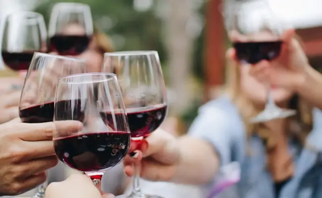 A1 Tours Finger Lakes NY An Upstate NY Experience Wine Tasting