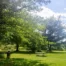 A1 Tours Storm King Art Center Hudson Valley NY Picnic Area