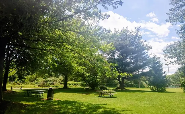 A1 Tours Storm King Art Center Hudson Valley NY Picnic Area