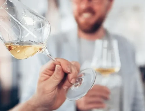 Sip, Savor, and Celebrate Fall with A1 Tours’ New Wine Tour Experience