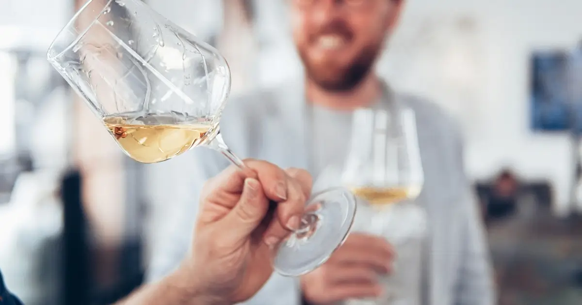 Sip Savor and Celebrate Fall with New Wine Tour Experience